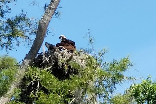 Tour image 1