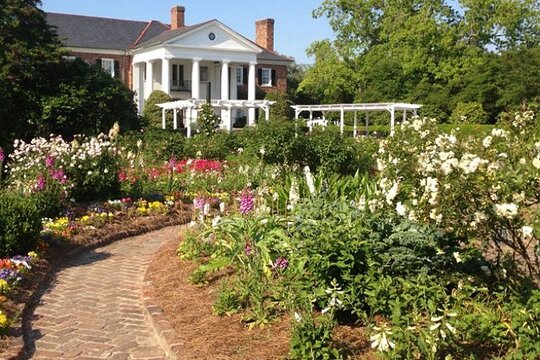 Tour image 1